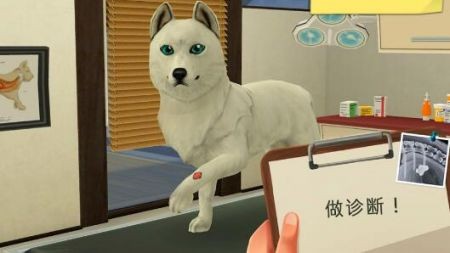 宠物救助模拟器手游下载