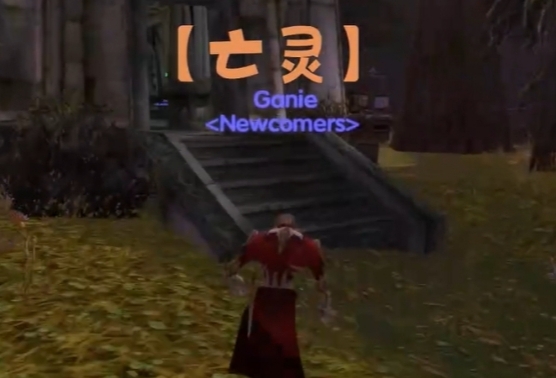 魔兽世界乌龟服亡灵卷轴哪里有