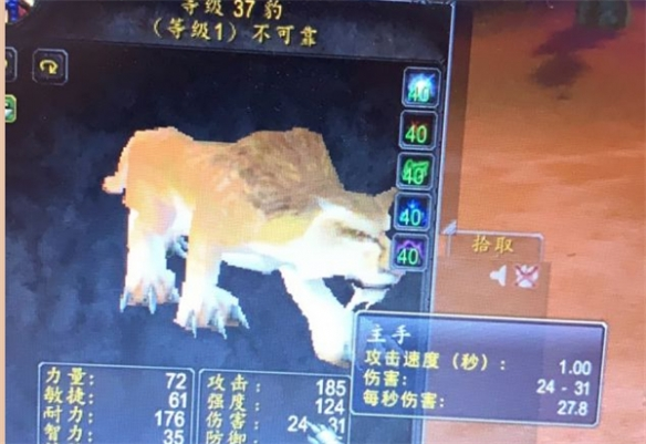 魔兽世界乌龟服断牙多久刷新