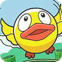 飞扬小小鸟