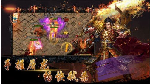 战龙传奇之无限巅峰游戏截图-3