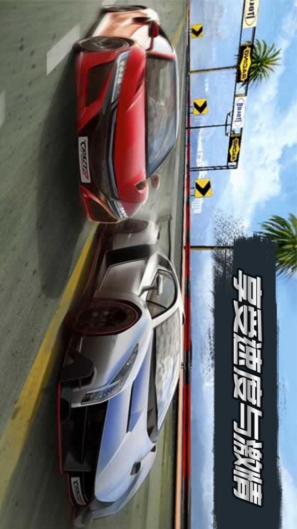 3D飞速狂飙游戏截图-1