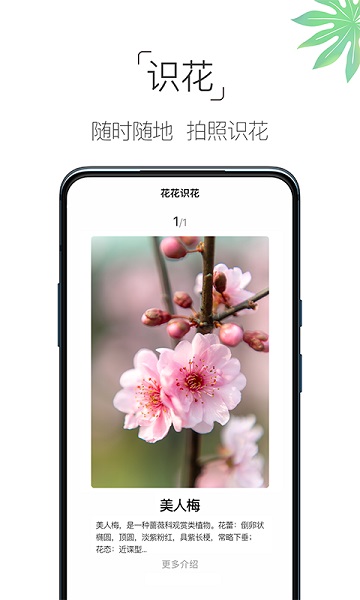 养花大全app游戏截图-1