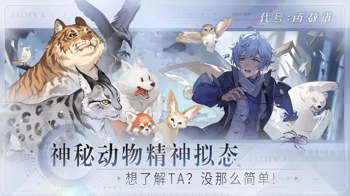 代号:函数塔