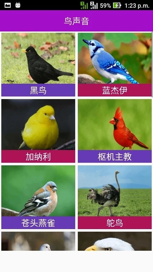 动物的叫声游戏截图-3