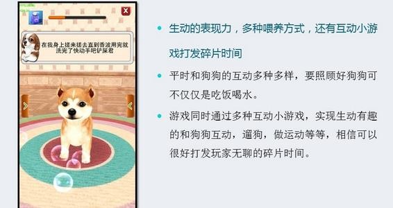 奔跑吧小狗游戏截图-4