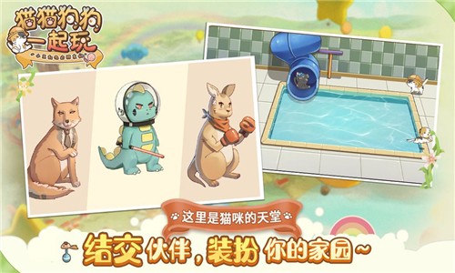 猫猫狗狗一起玩游戏截图-4