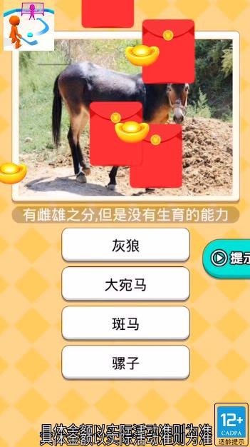 曲棍球高手游戏截图-3