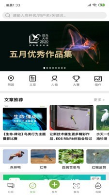 养鸟岛应用截图-2