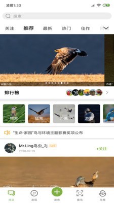 养鸟岛应用截图-1