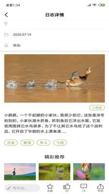 养鸟岛应用截图-4