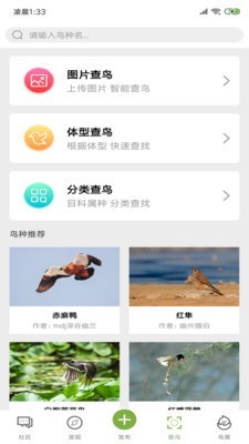 养鸟岛应用截图-3