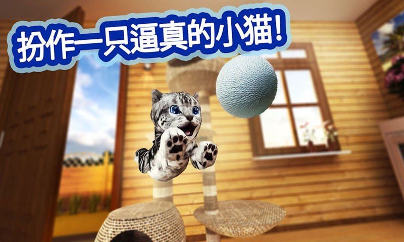 迷你小猫城市生存游戏截图-2