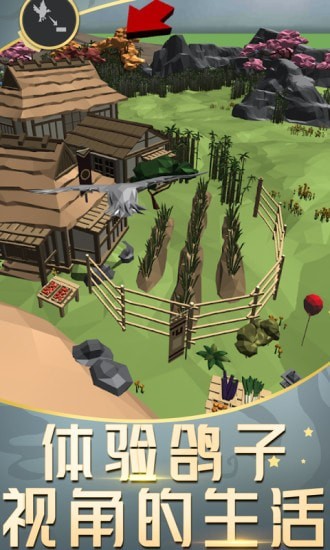 城市鸽子模拟器游戏截图-5