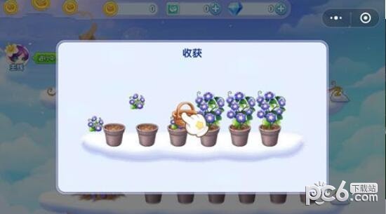 浪漫玫瑰园游戏截图-4