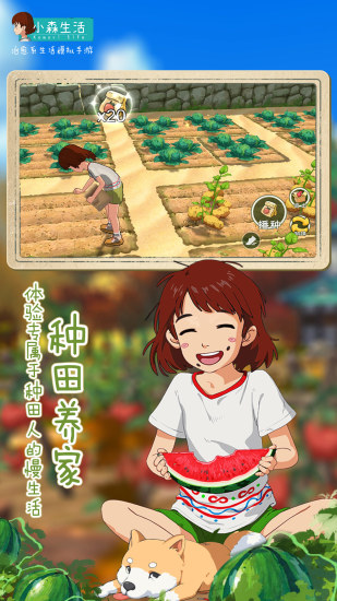 小森生活手游游戏截图-3