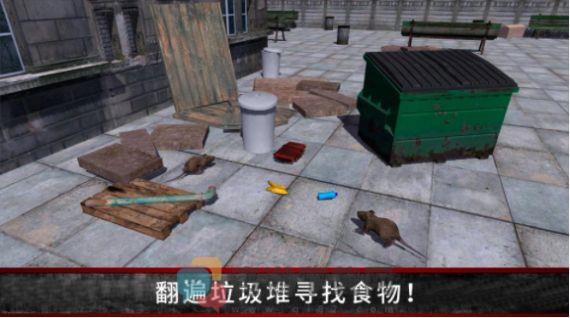 荒野流浪记游戏