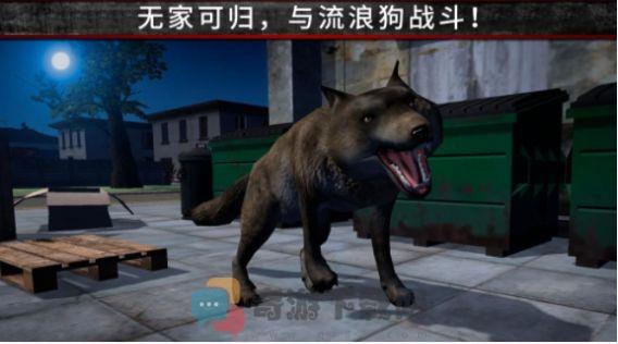 荒野流浪记游戏截图-3