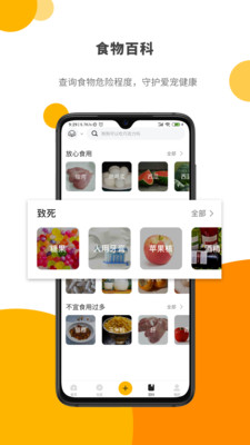 Paw Lab app游戏截图-1