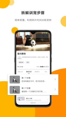 Paw Lab app游戏截图-3