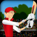 打棒球HD Stick Cricket HD