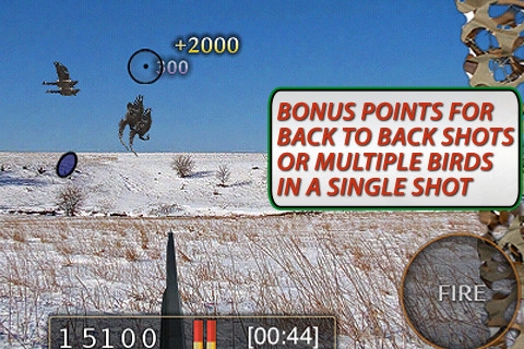 真实猎鸟挑战赛 Real Bird Hunting Challenge游戏截图-4