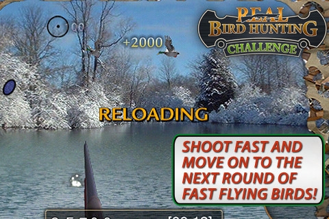 真实猎鸟挑战赛 Real Bird Hunting Challenge游戏截图-1