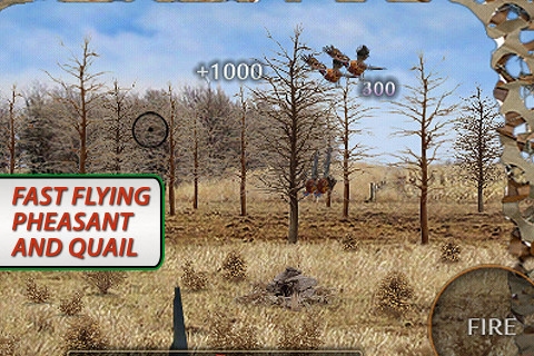 真实猎鸟挑战赛 Real Bird Hunting Challenge游戏截图-5