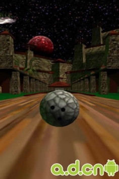 3D保龄球 HyperBowl v3.31游戏截图-4