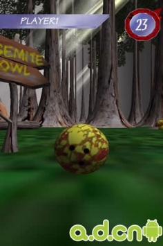 3D保龄球 HyperBowl v3.31游戏截图-5