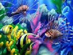 海底生物找不同