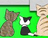 小猫逃实验室