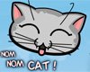 大笨猫旅游记