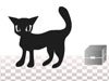 黑猫逃出浴室