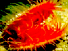 闪光魔板