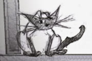 驱赶猫咪