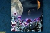 幻想国度找茬