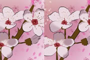 春天百花开