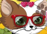 猫猫可爱装