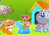 小猫找骨头