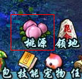 浅析九天仙梦桃园农场