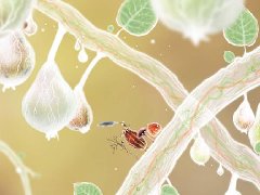 《植物精灵》精美壁纸欣赏