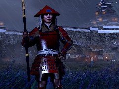 《幕府将军2全面战争》精美壁纸