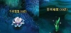 解析凡人修真2无边海任务副本的攻略