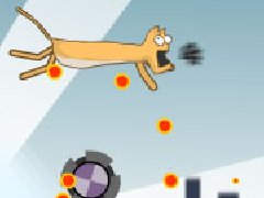 星际无敌猫