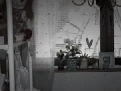 万圣节惊魂夜