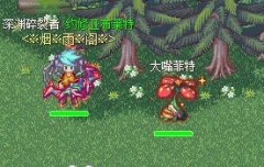 介绍仙境幻想金币怪大嘴菲特刷新点