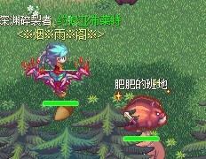 介绍仙境幻想肥肥的班地的刷新点