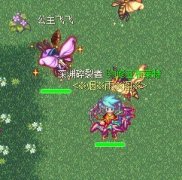 揭晓仙境幻想金币怪公主飞飞的刷新点