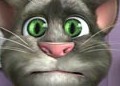 会说话的汤姆猫2